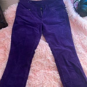 Delia’s Purple Velvet Dolls Kill Pants